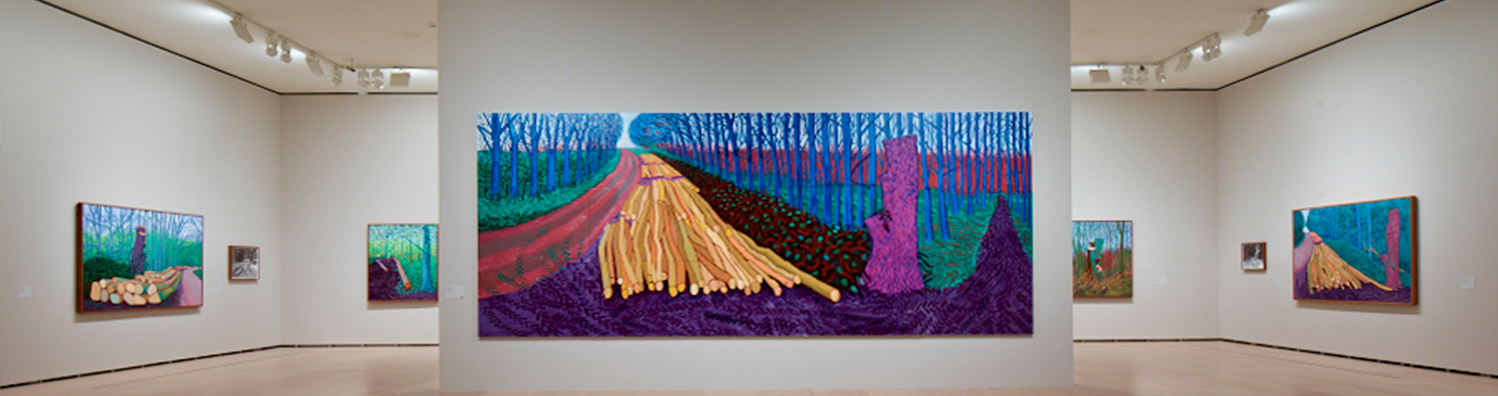 David Hockney: una visión más amplia