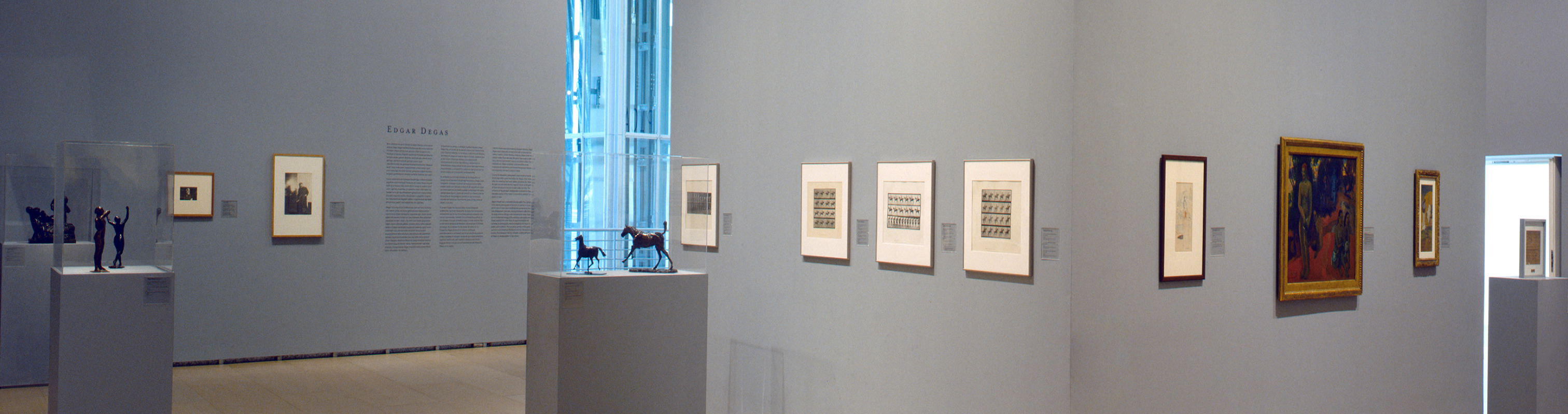 De Degas a Picasso: pintores, escultores y la cámara