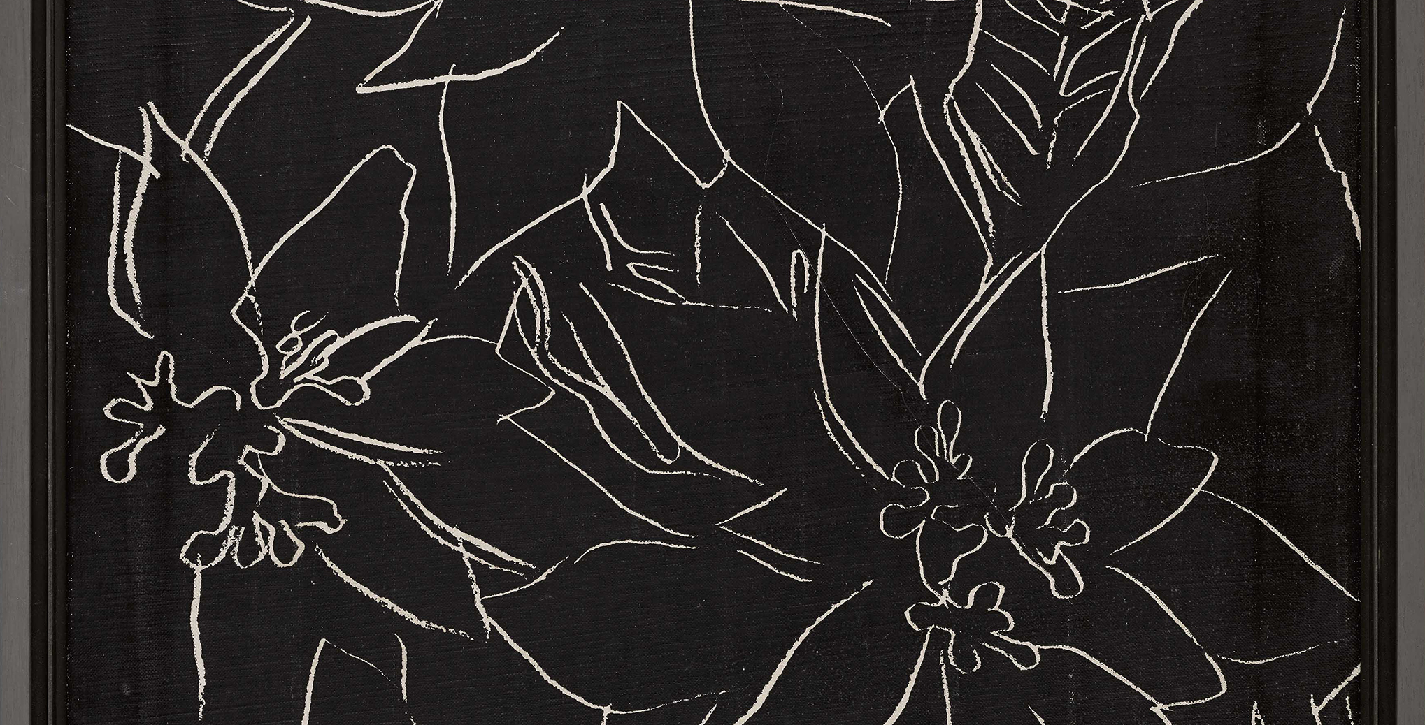 Poinsettia [Flor de Pascua]