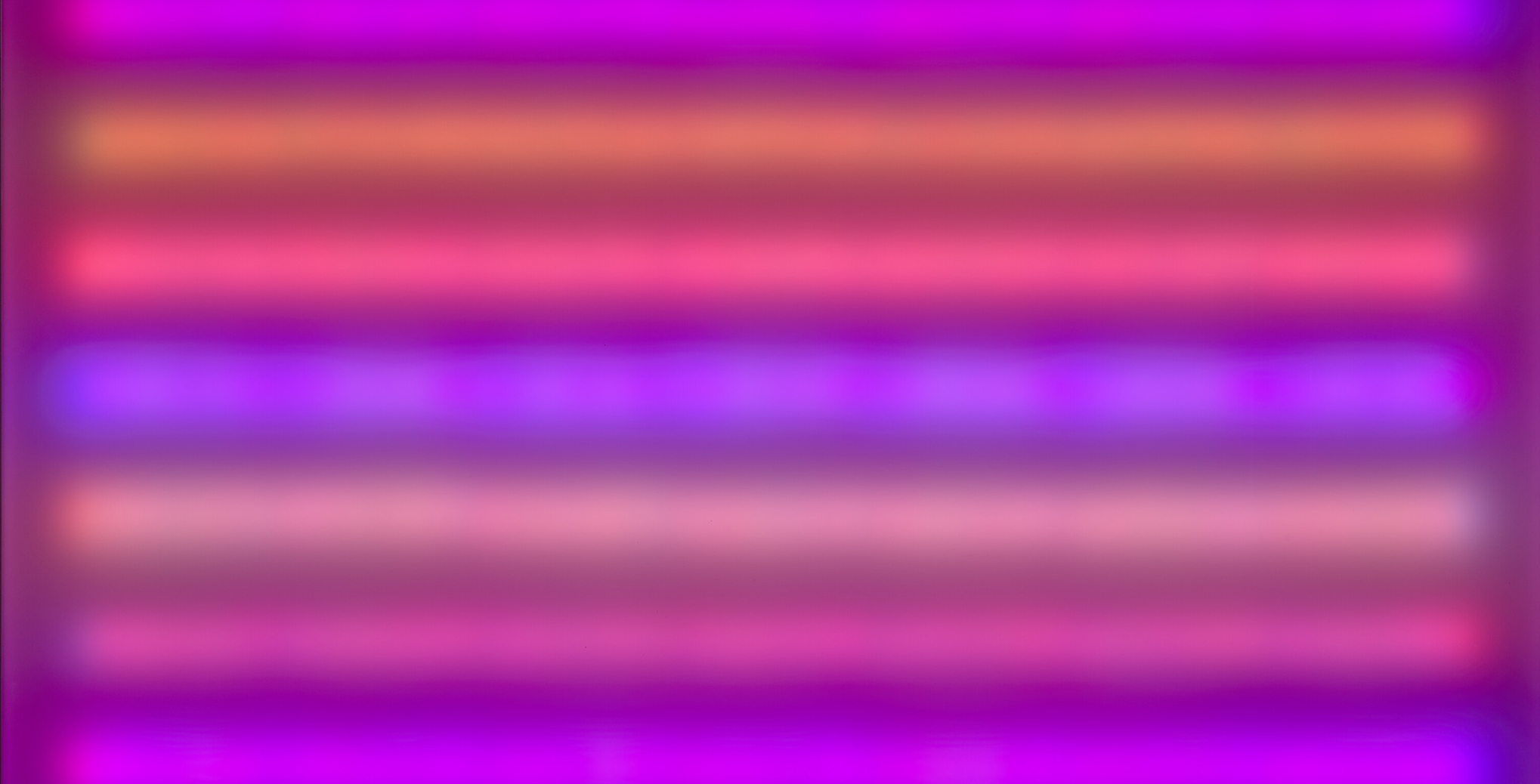 Lightscape (Horizontal) 2 [ Paisaje de luz (horizontal) 2]